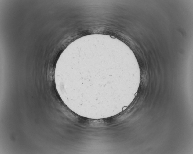 X0000111210525200907291254