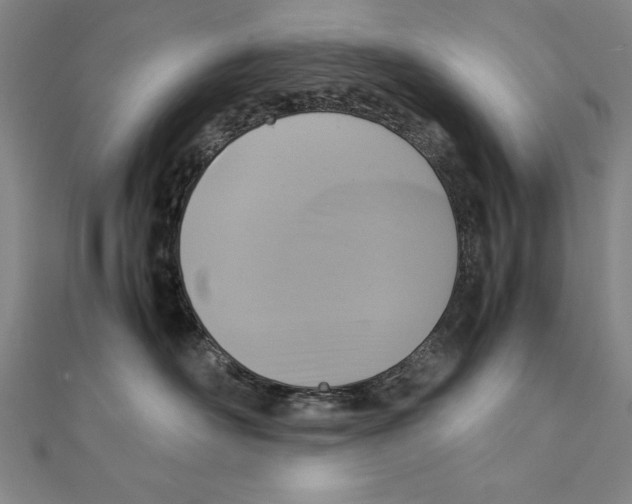 X0000111210526200907291254