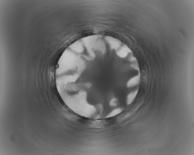 X0000111210527200907291254