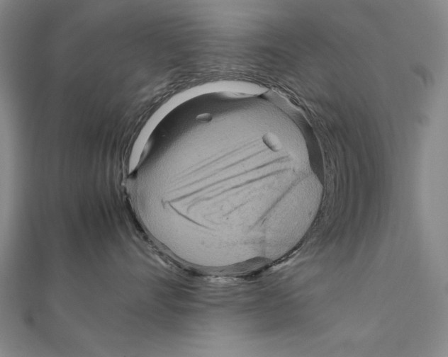 X0000111210528200907291254