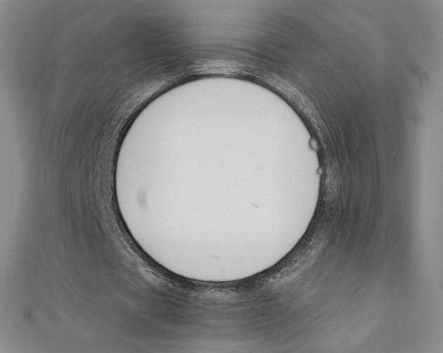 X0000111210529200907291253