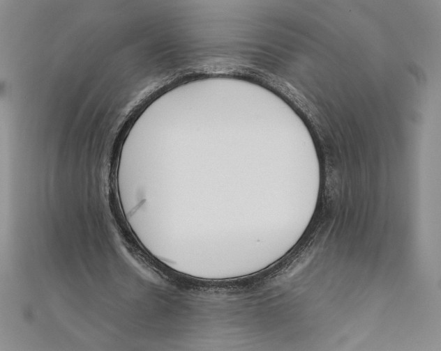 X0000111210530200907291253