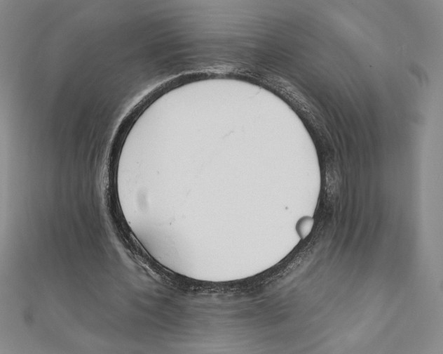 X0000111210532200907291253