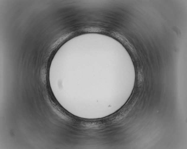 X0000111210533200907291253