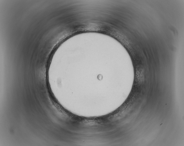 X0000111210534200907291253