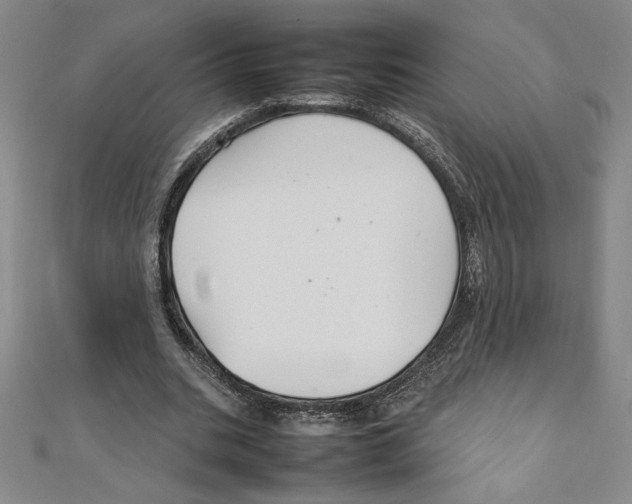 X0000111210535200907291253