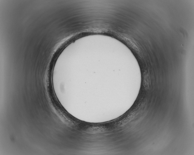 X0000111210536200907291253