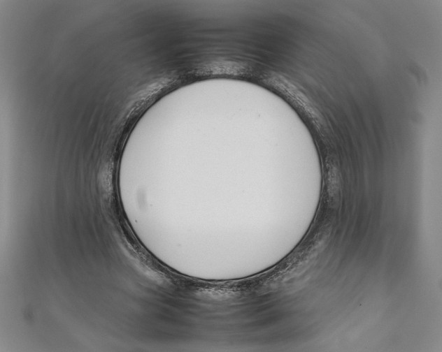 X0000111210537200907291253