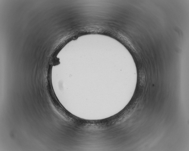 X0000111210538200907291253