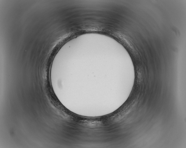 X0000111210539200907291253