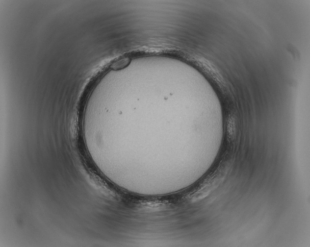 X0000111210540200907291253