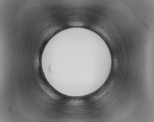 X0000111210541200907291253