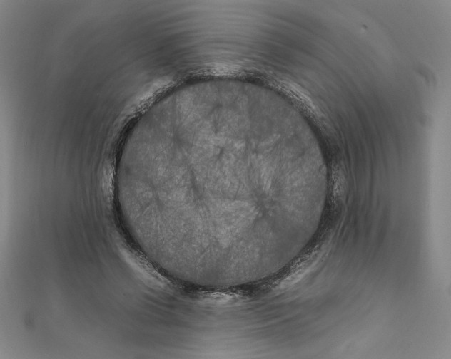 X0000111210542200907291253