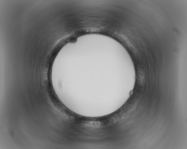 X0000111210543200907291253