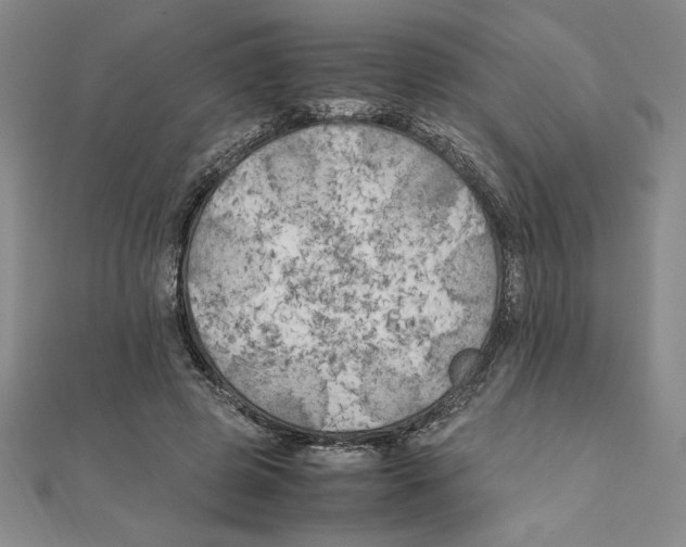X0000111210545200907291254