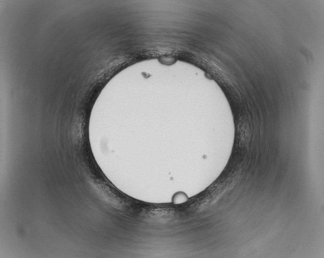 X0000111210546200907291254