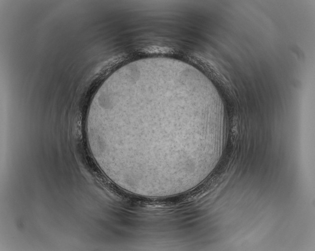 X0000111210547200907291254