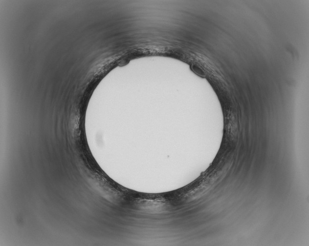 X0000111210548200907291254