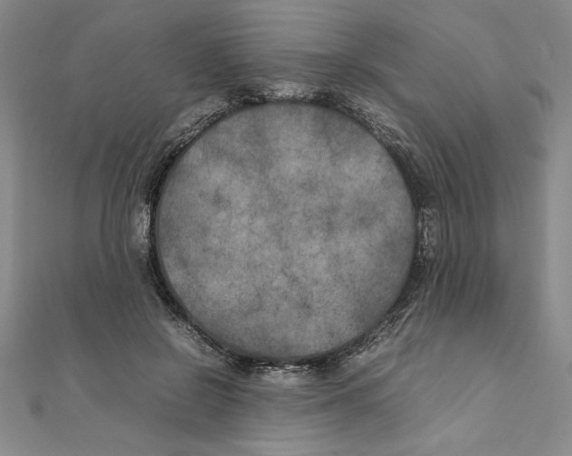 X0000111210550200907291254