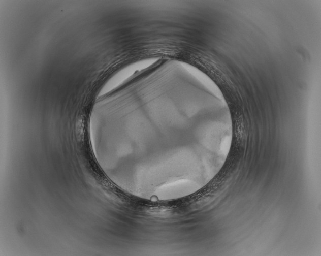 X0000111210551200907291254