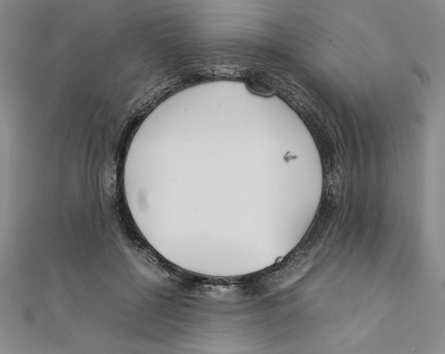 X0000111210552200907291254