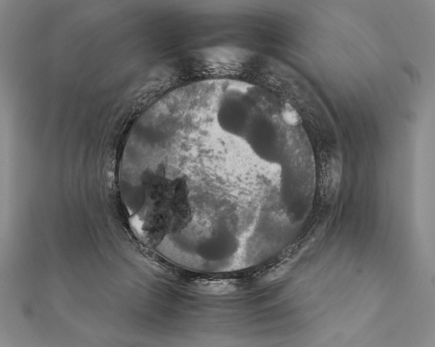 X0000111210553200907291254