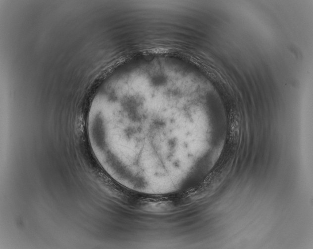 X0000111210555200907291254