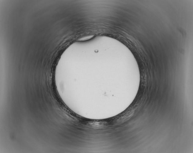 X0000111210558200907291254