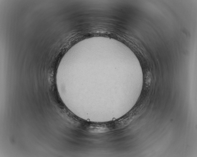 X0000111210559200907291254