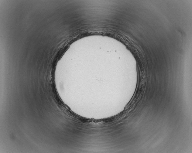 X0000111210560200907291254