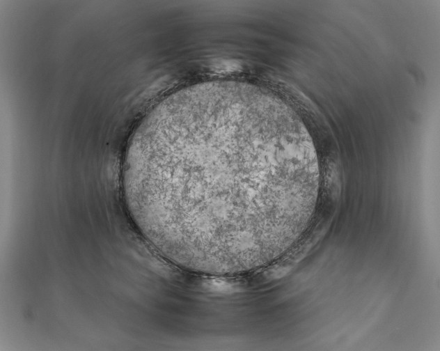 X0000111210565200907291254