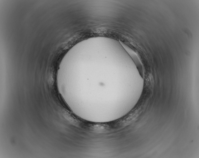 X0000111210566200907291254