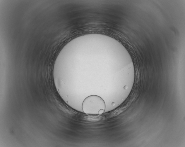 X0000111210567200907291254