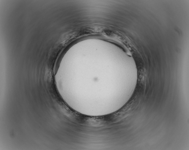 X0000111210568200907291254