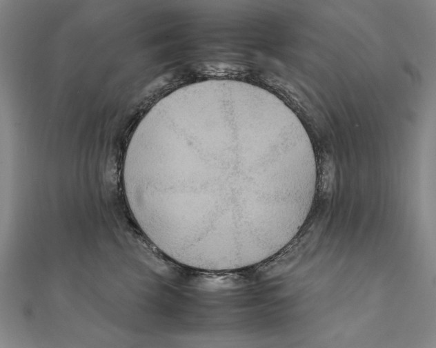 X0000111210569200907291254