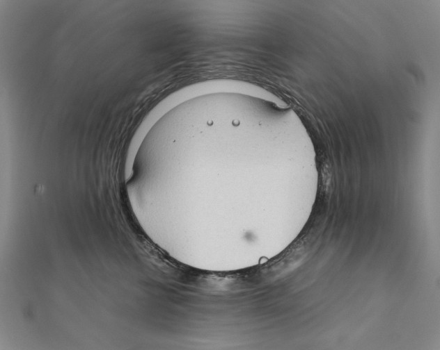 X0000111210570200907291254