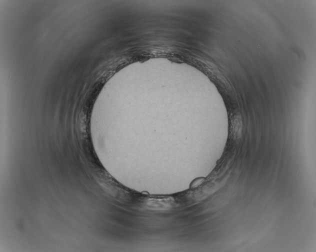 X0000111210571200907291254