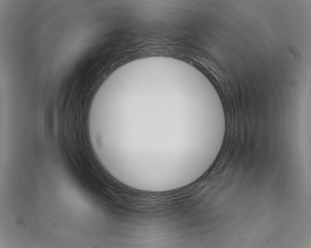 X0000111210572200907291254