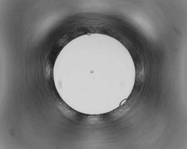 X0000111210574200907291254