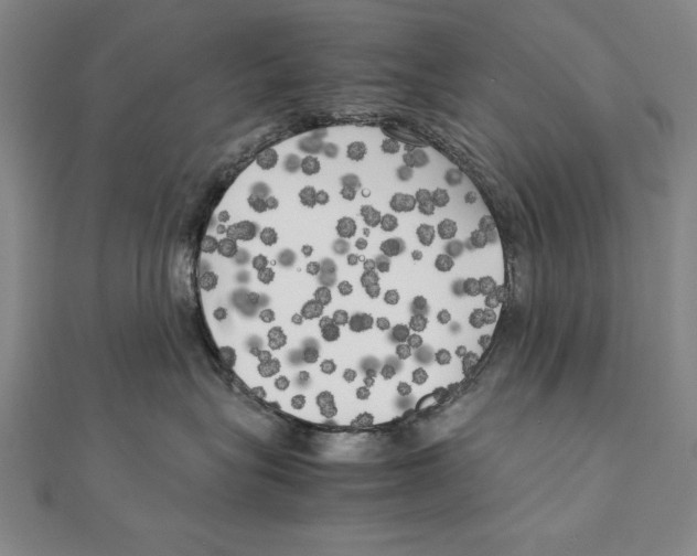 X0000111210575200907291254