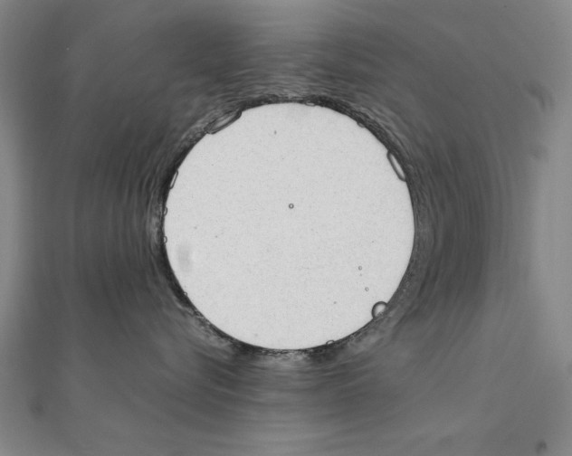 X0000111210576200907291254