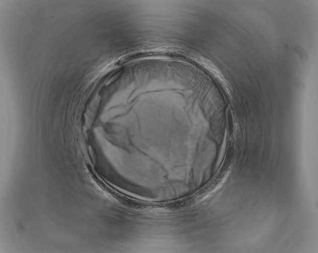 X0000111210577200907291253