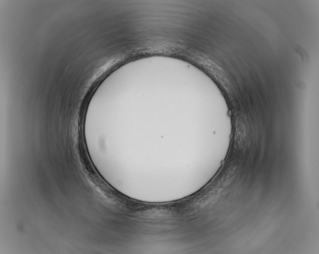 X0000111210578200907291253