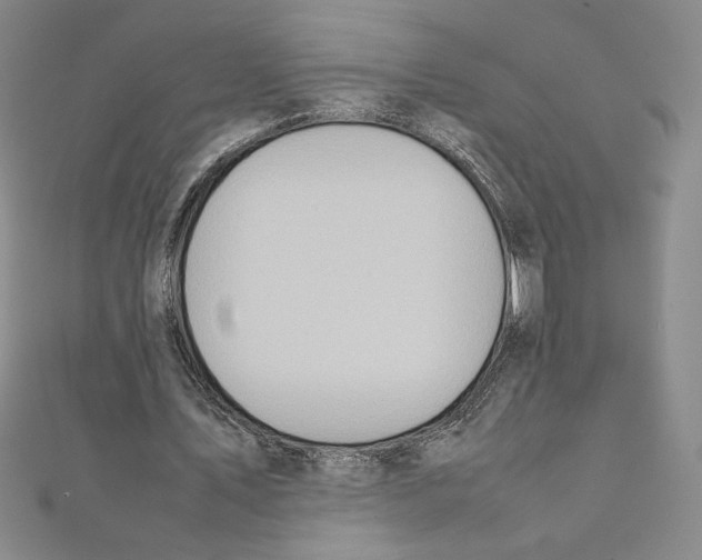 X0000111210579200907291253