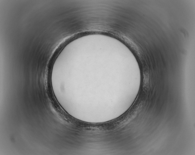 X0000111210580200907291253