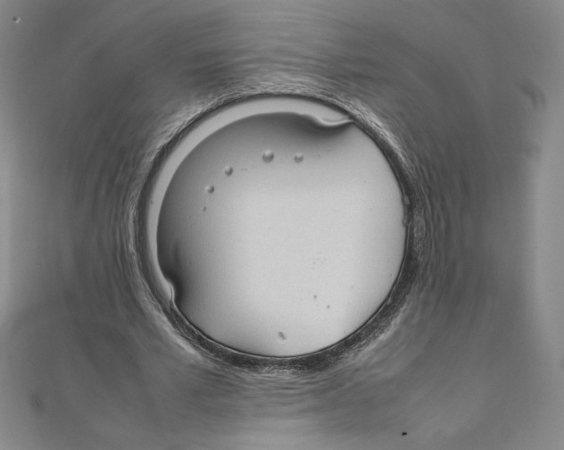 X0000111210581200907291253