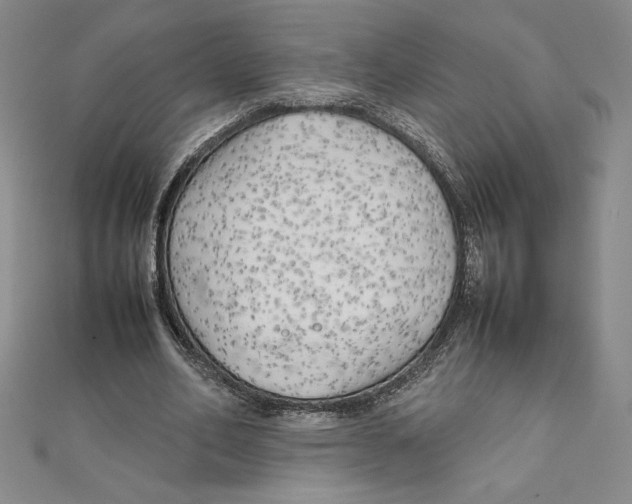 X0000111210582200907291253