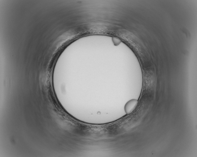 X0000111210583200907291253