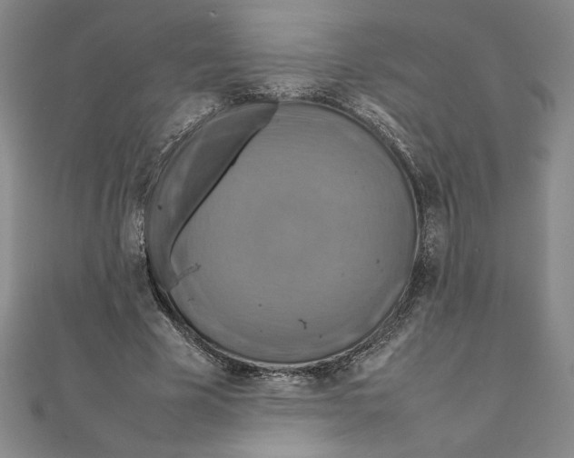 X0000111210585200907291253