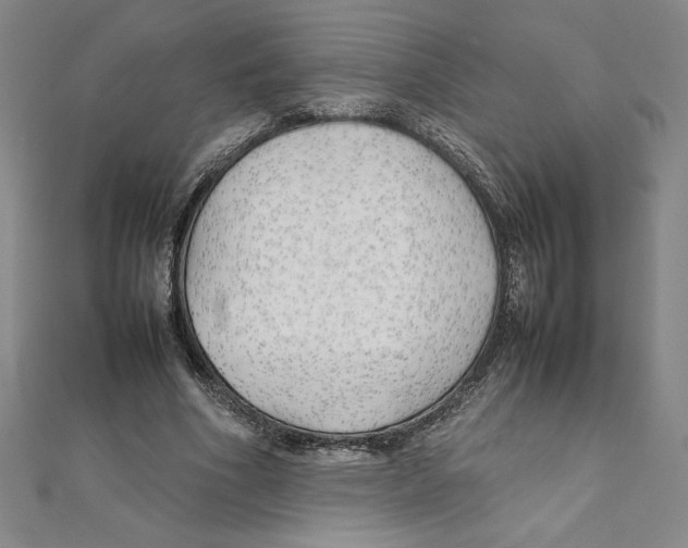 X0000111210586200907291253